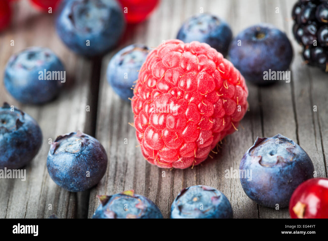 Fresh Berries and raspberry - Blueberries background closeup Stock Photo