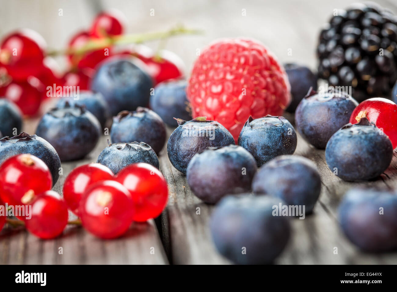 Fresh Berries and raspberry - Blueberries background closeup Stock Photo
