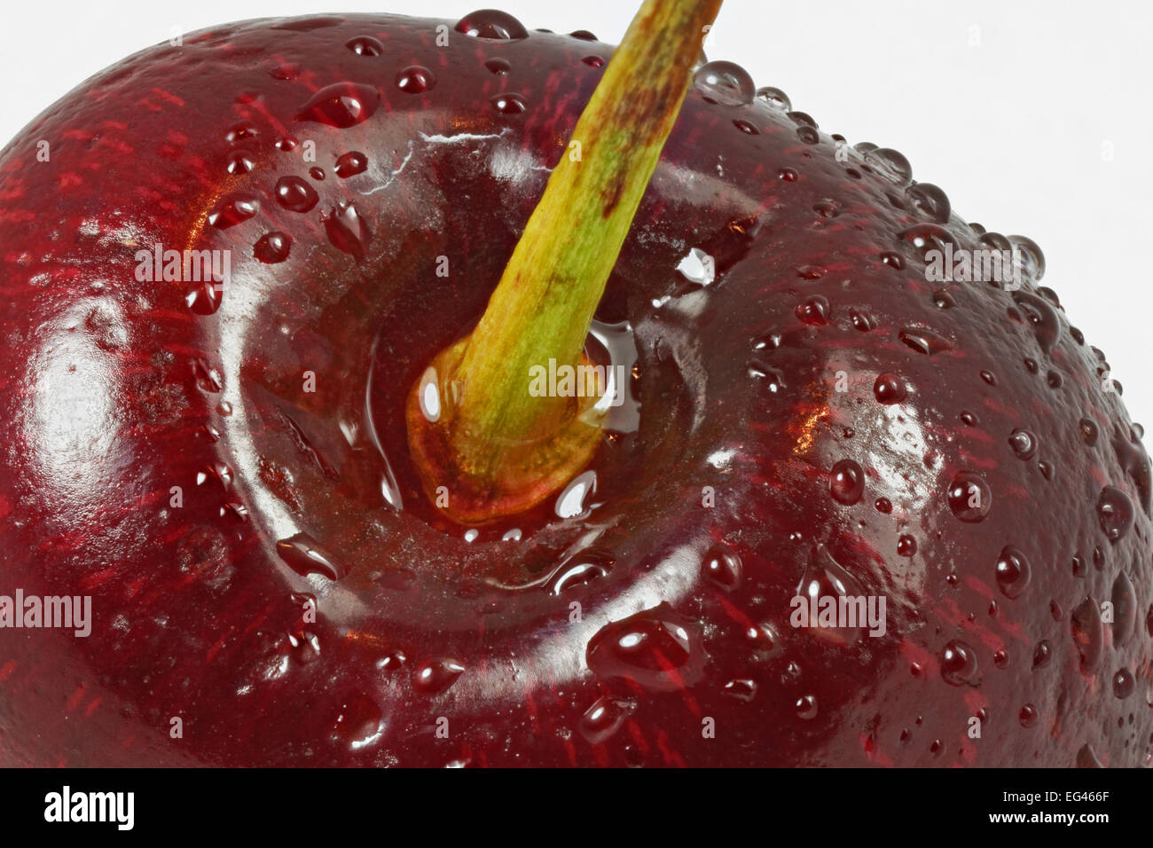 Super-macro of one red cherry with water droplets. A cherry is the fruit of many plants of the genus Prunus and is a fleshy drupe (stone fruit). Stock Photo