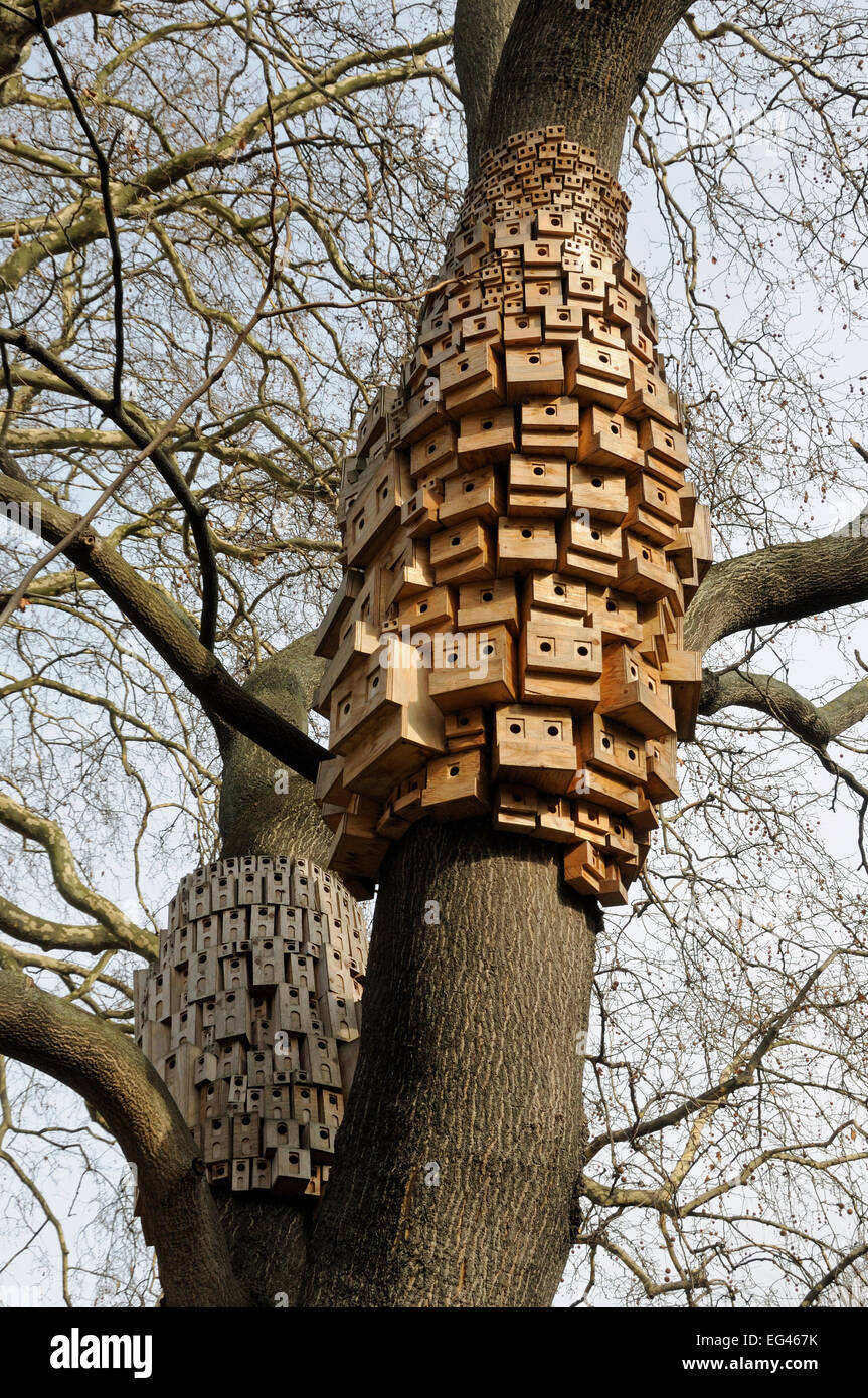 Over 250 bird bug boxes sculptural installation called Sponanteous City in Tree Heaven (Ailanthus altissima) Duncan Terrace Gardens London Borough Islington England UK February 2012 Stock Photo