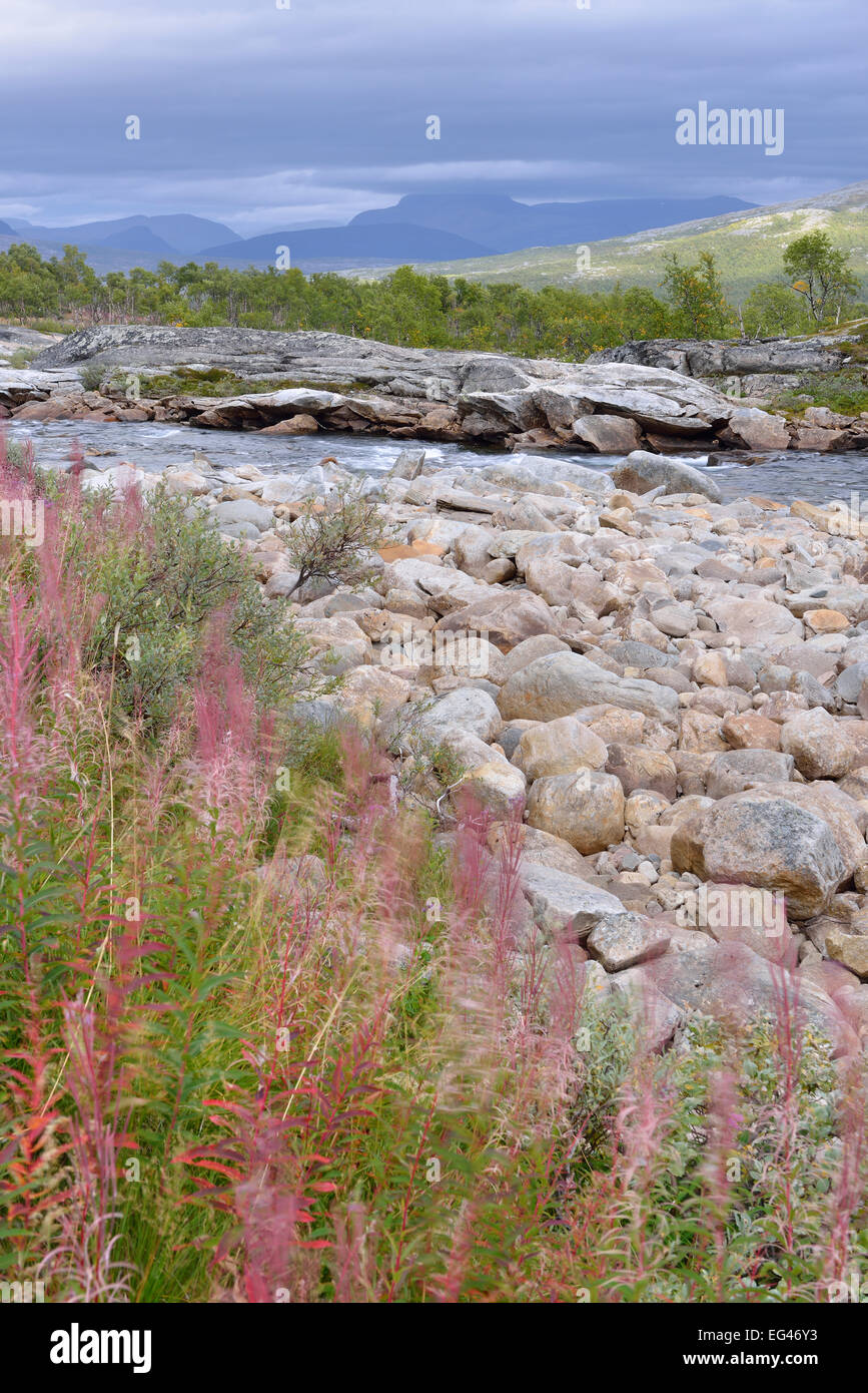 RMuonosjåhkå mountain river in SaRMtdaRM, near the Arctic CircRMe, Norway Stock Photo