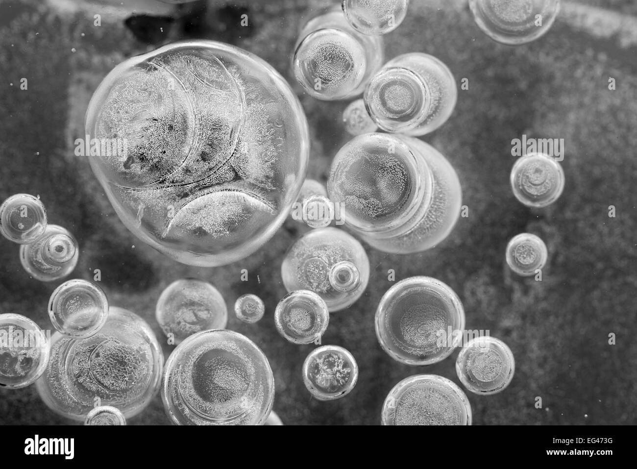 Air bubbles in ice Stock Photo