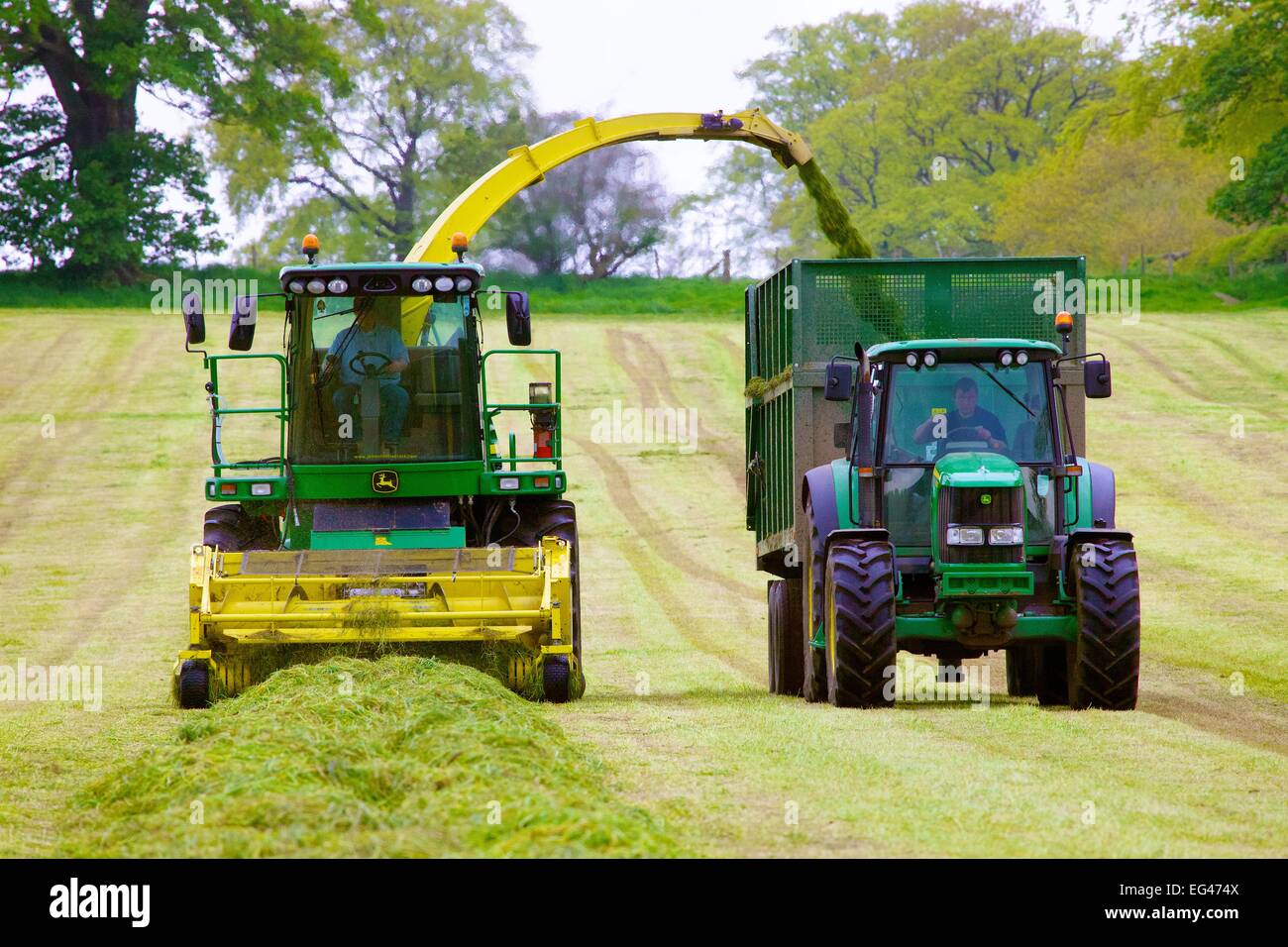 John Deere 7450 Self-Propelled Forage Harvesters and Bailey mechanical Silage trailer. Stock Photo