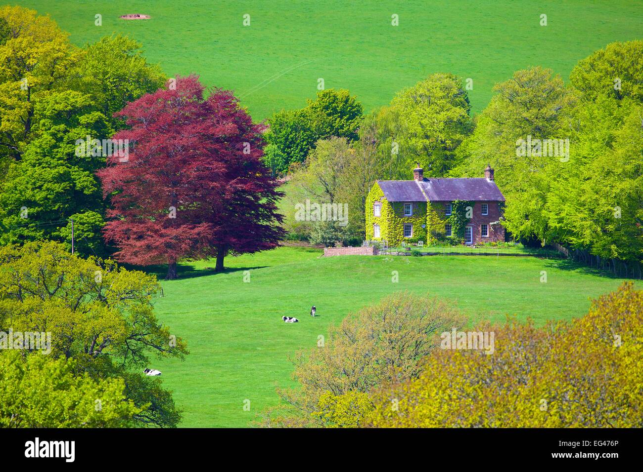Isolated country house. Dry Beck near Armathwaite, Eden Valley, Cumbria