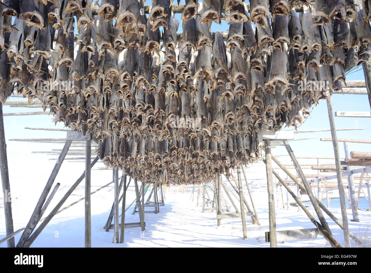 Clothes drying racks hi-res stock photography and images - Alamy