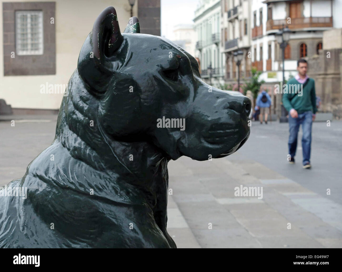 One of the eight bronze dogs outside the cathedral in Las Palmas de Gran  Canaria, Canary Islands, Spain Stock Photo - Alamy