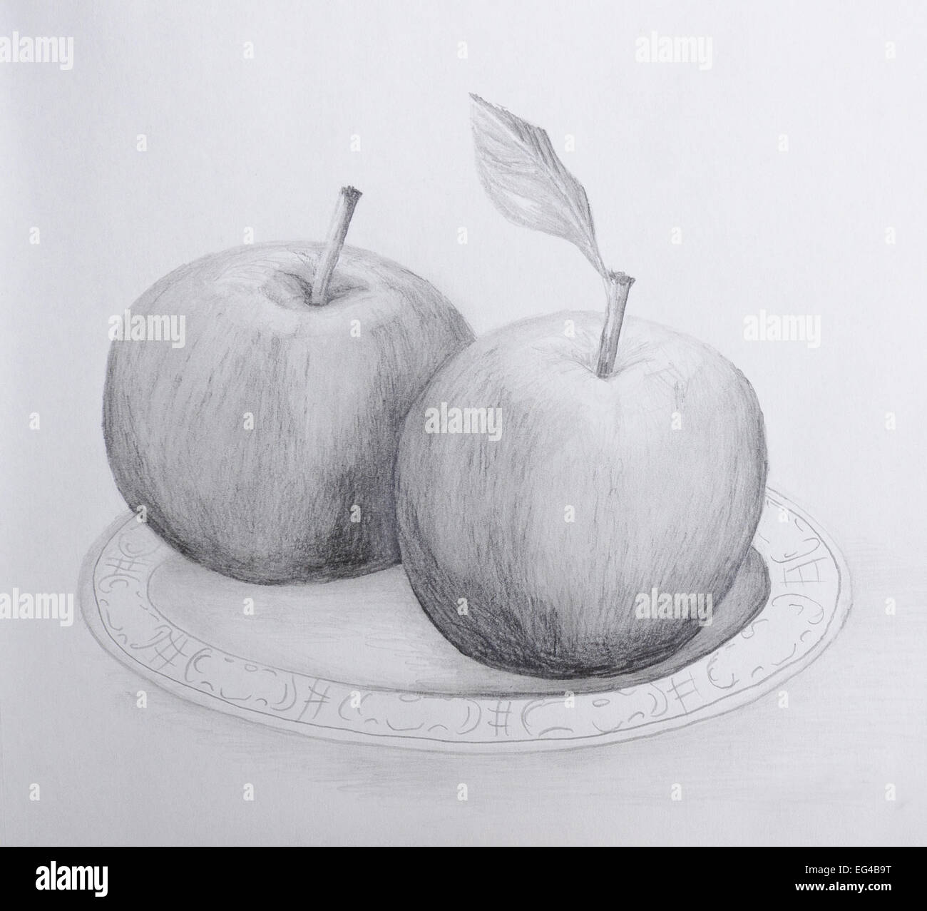 Pencil drawing of two apples on a plate - grayscale on cartridge paper. Stock Photo