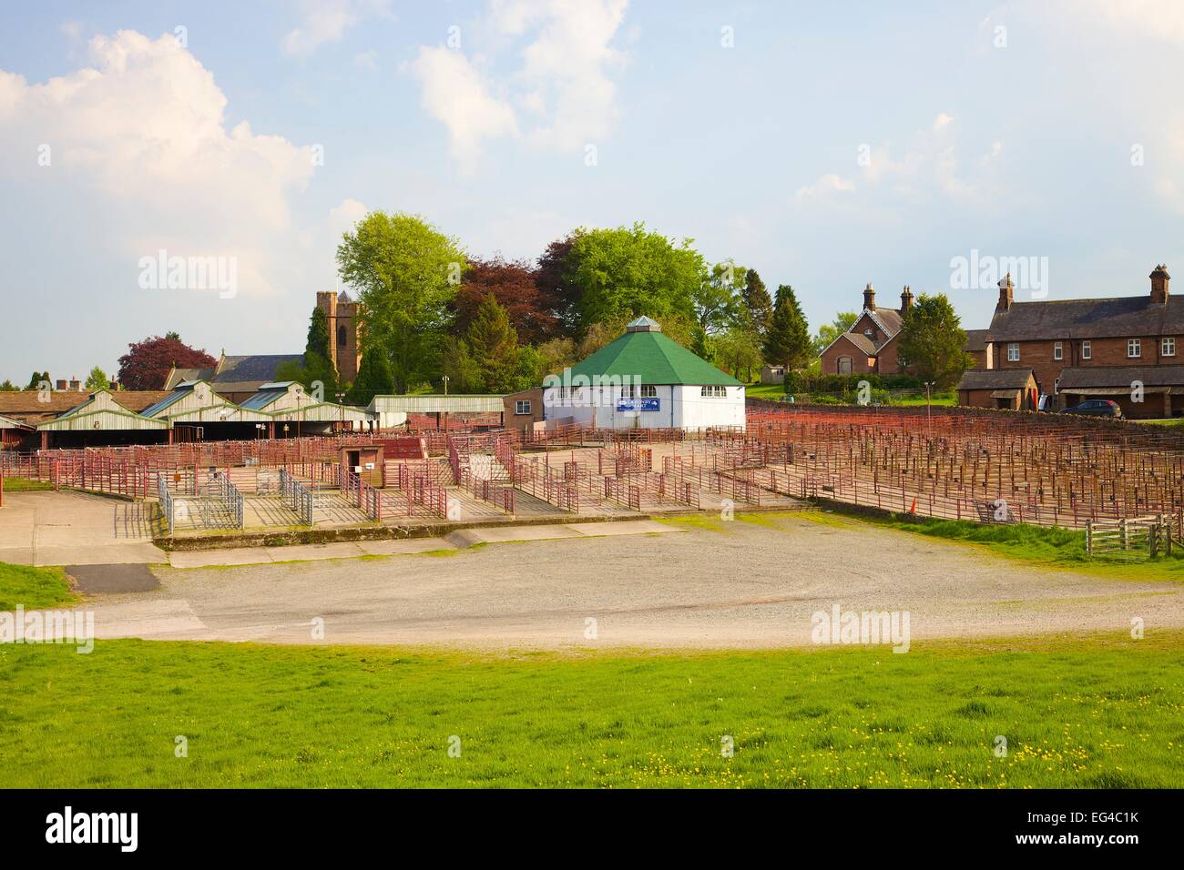 Livestock Auction Mart. Lazonby Mart Lazonby Eden Valley Cumbria