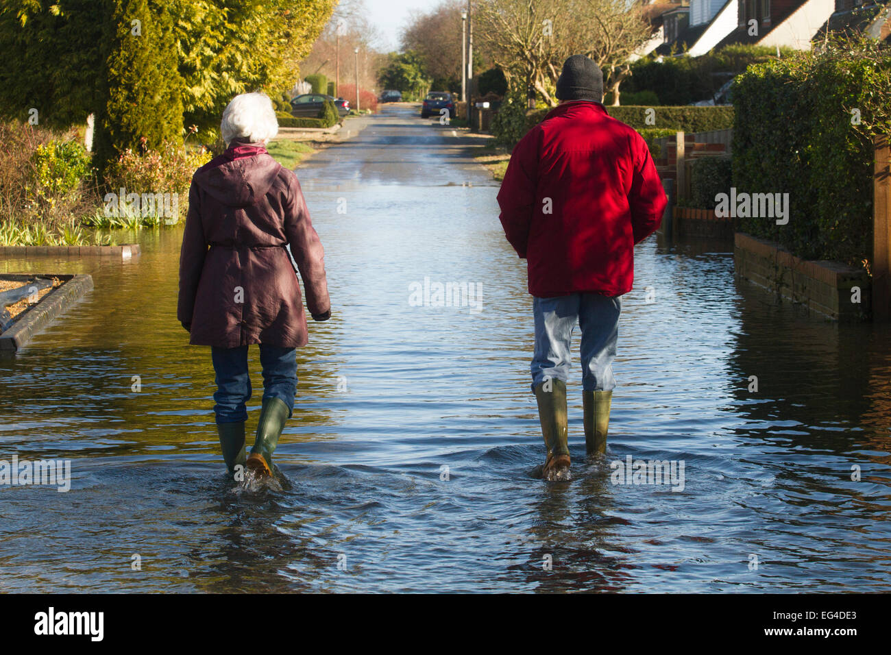 Residents walking through February 2014 floods River Thames Wraysbury Surrey England UK 16th February 2014. Stock Photo