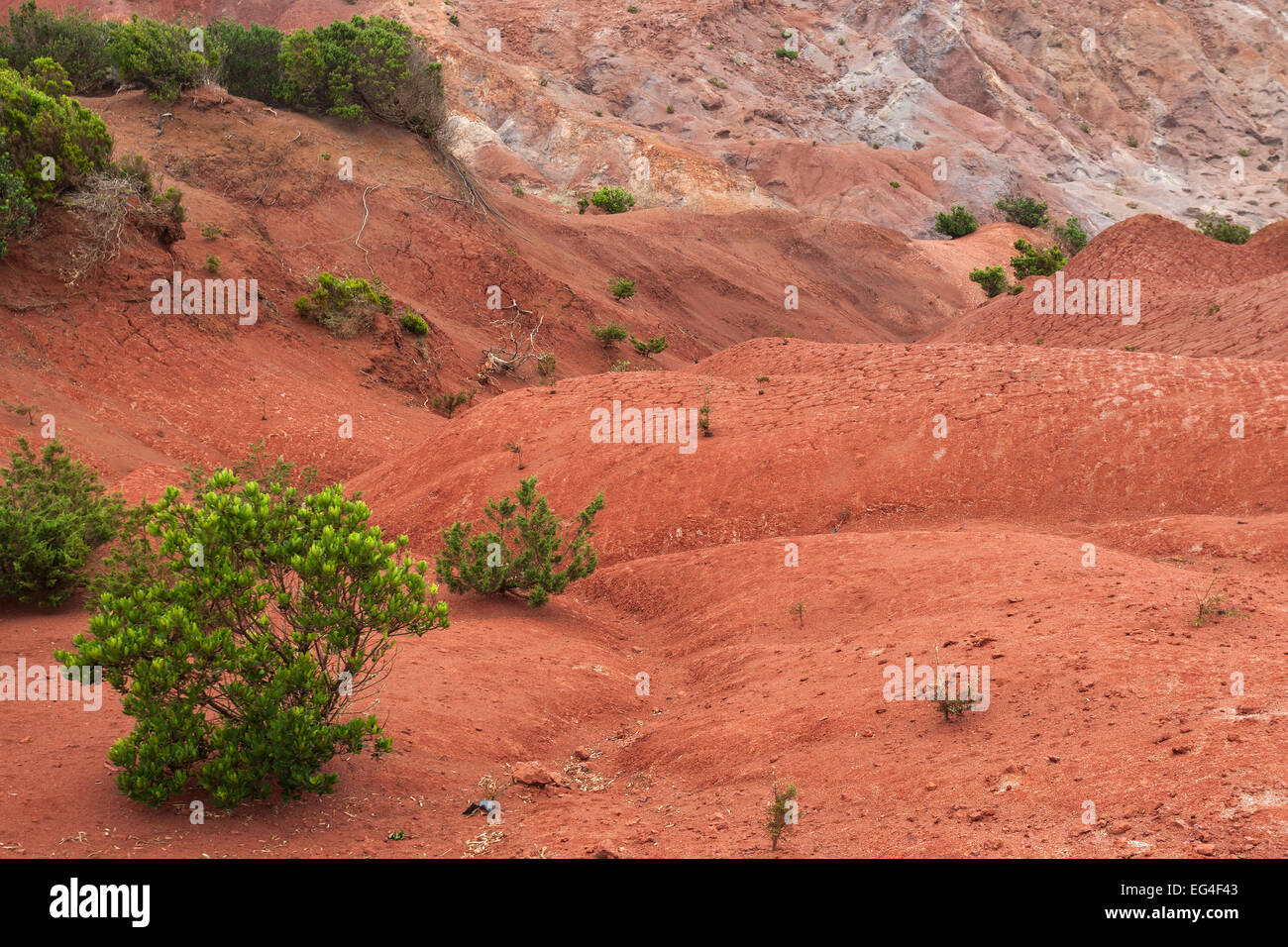 Red soil, erosion, above the scarp slope, Agulo, La Gomera, Canary Islands, Spain Stock Photo