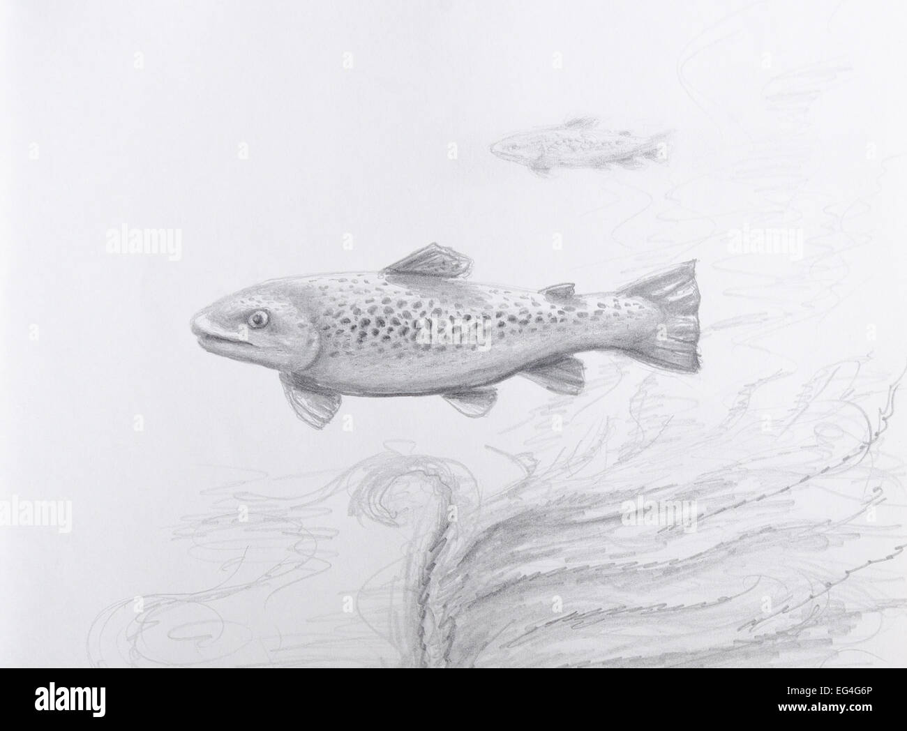 Draw a Fish: Pen and Ink Drawing with Digital Painting