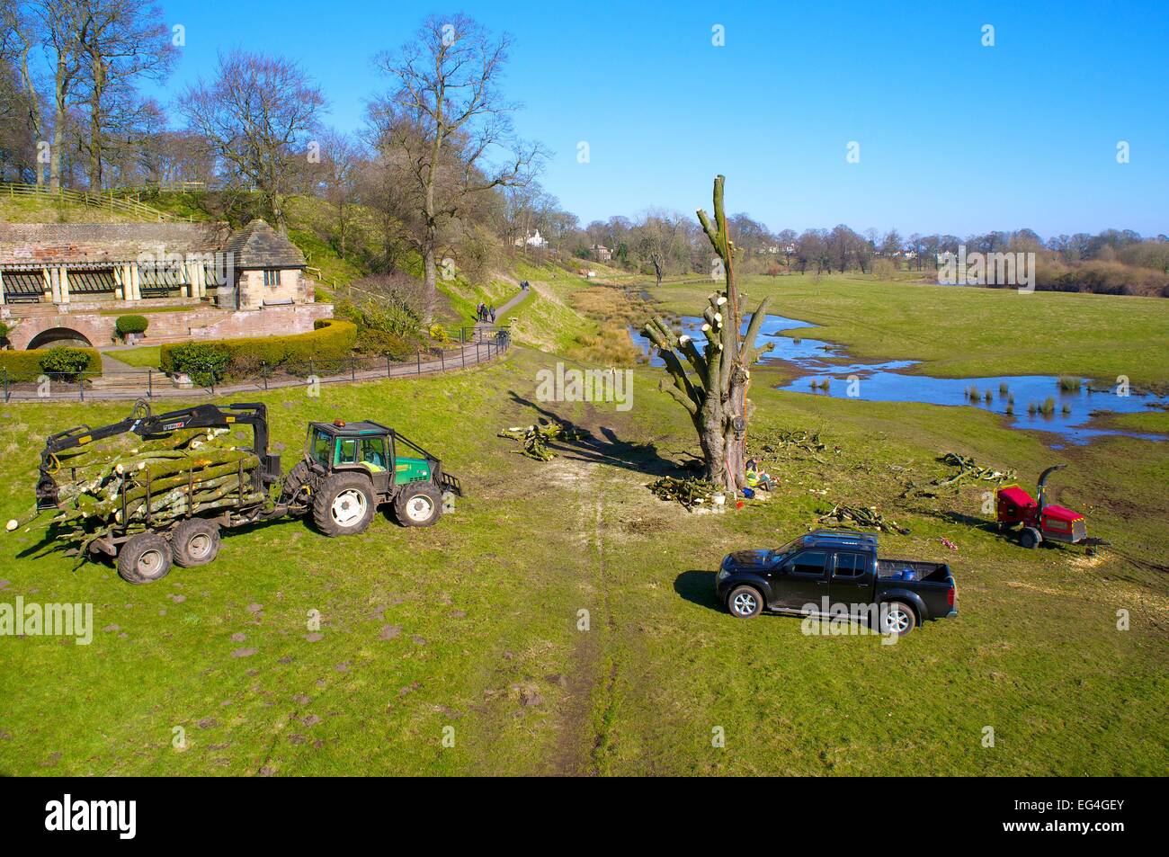 Cut back tree hires stock photography and images Alamy