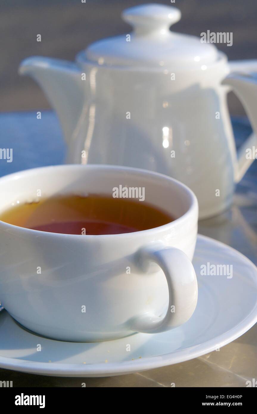 Cup of tea and tea pot on stainless steal table. Stock Photo