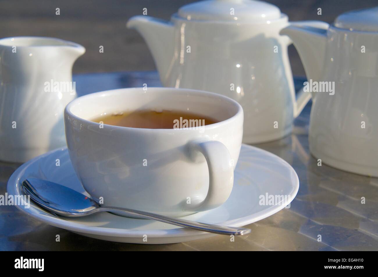 Cup of tea and tea pot on stainless steal table. Stock Photo