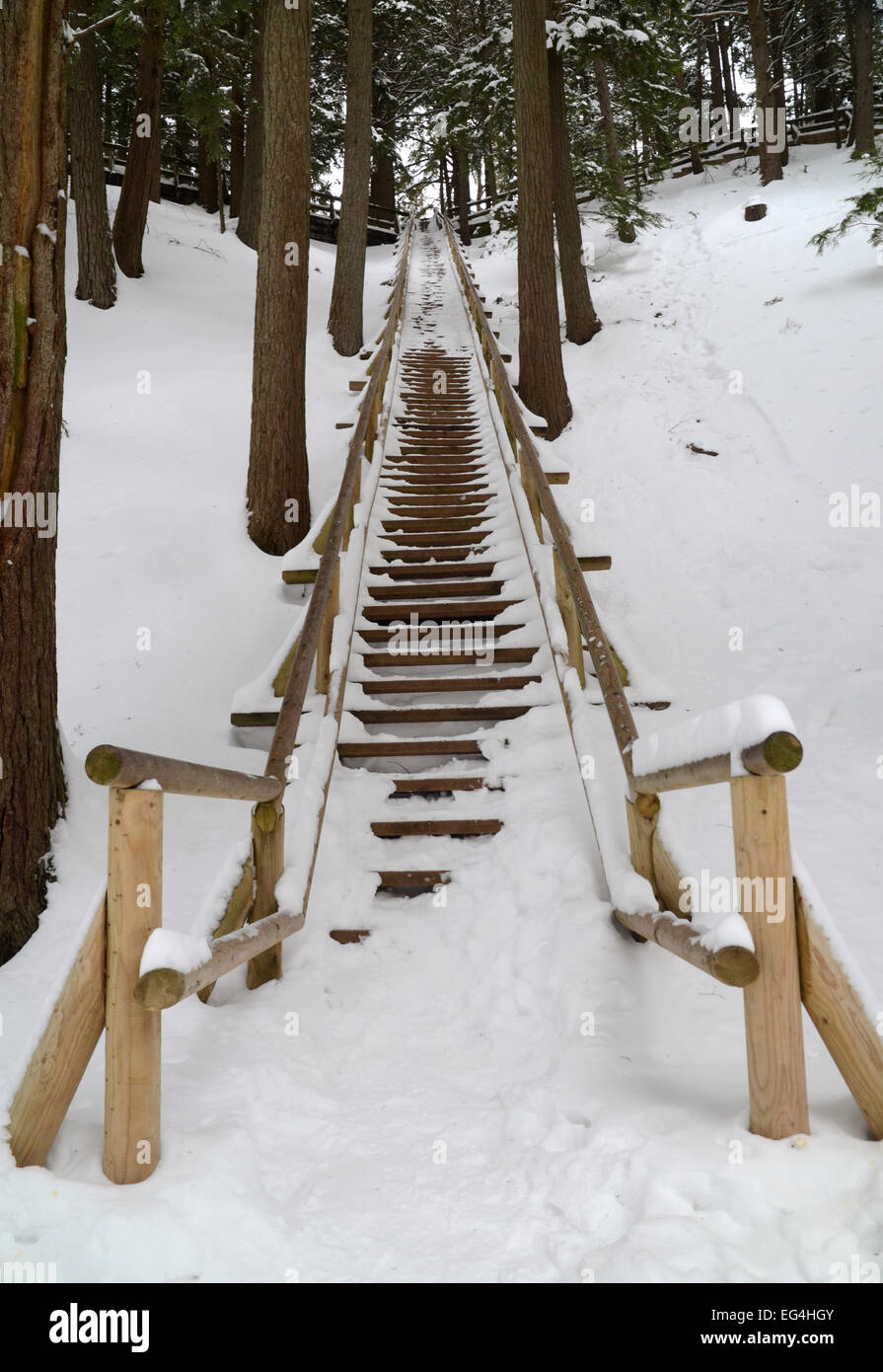 Jacobs Ladder, Victoria Park, Truro, Nova Scotia Stock Photo Alamy