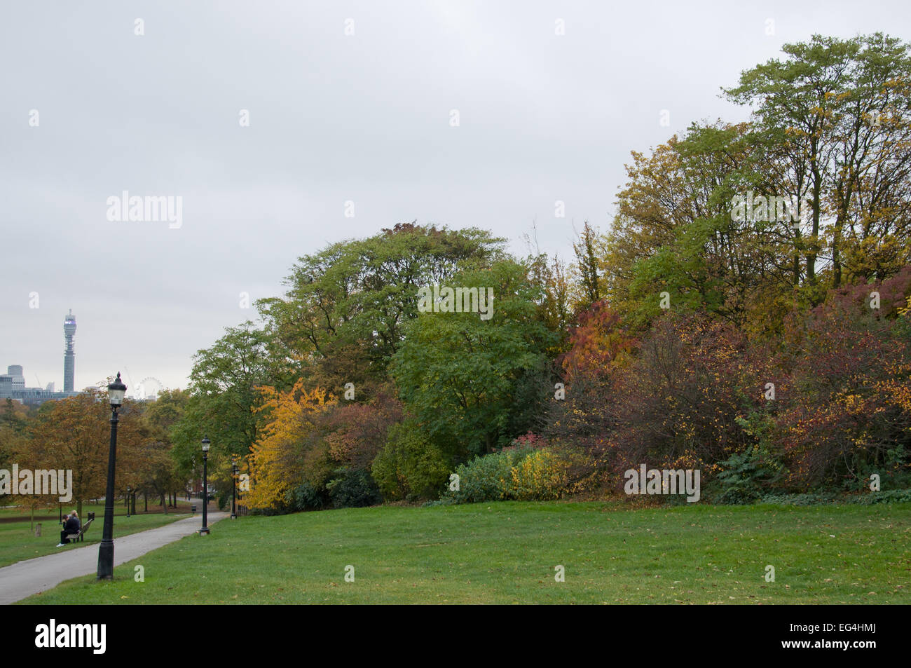 Autumn (fall) leaves in Primrose Hill Park, London, England Stock Photo ...