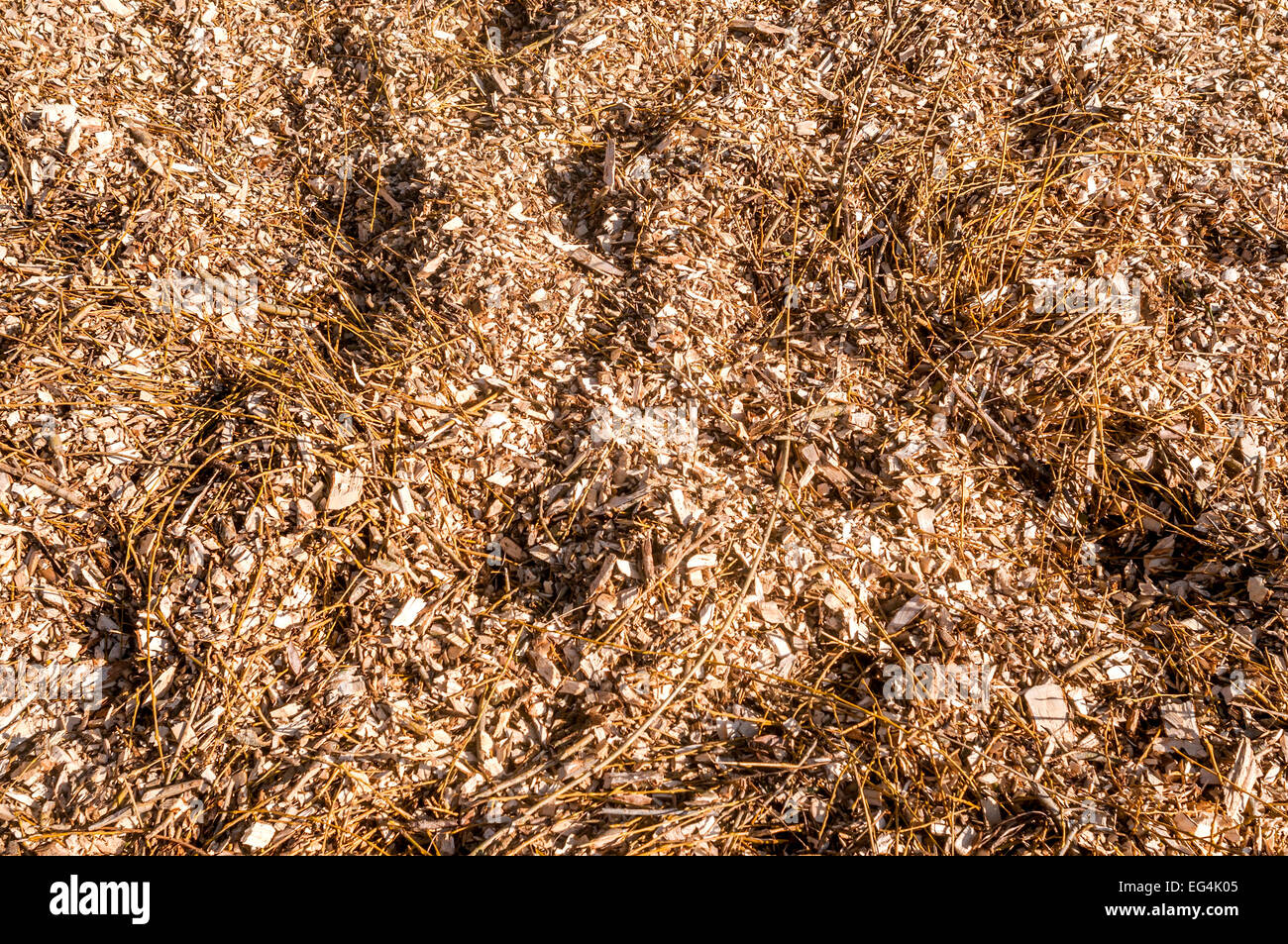 Wood chippings for bio / organic garden compost - France. Stock Photo