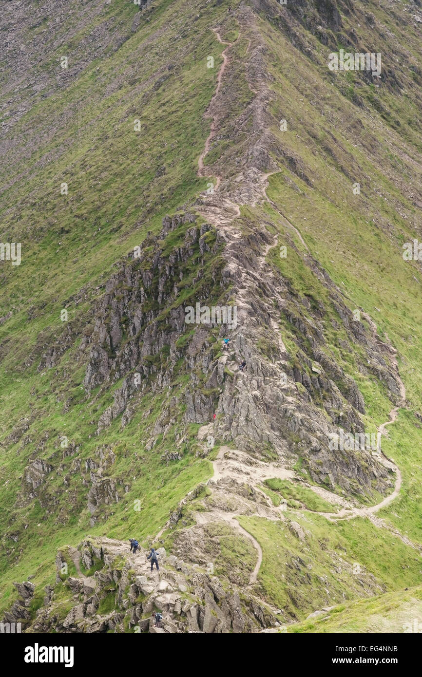 Helvellyn Striding Edge Walker High Resolution Stock Photography and ...