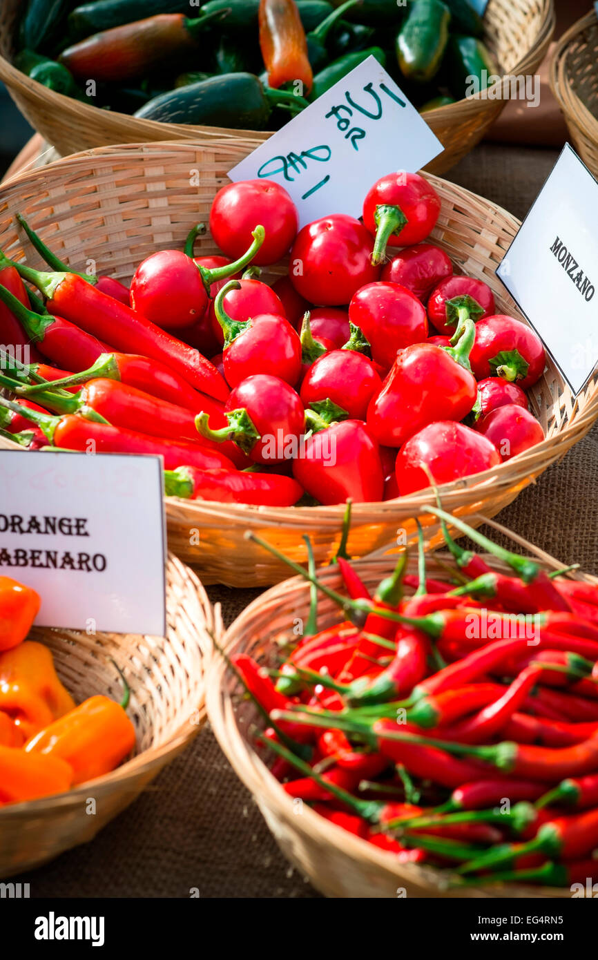 Variety of chillies on farmers market stall, Isles of Scilly, UK Stock Photo