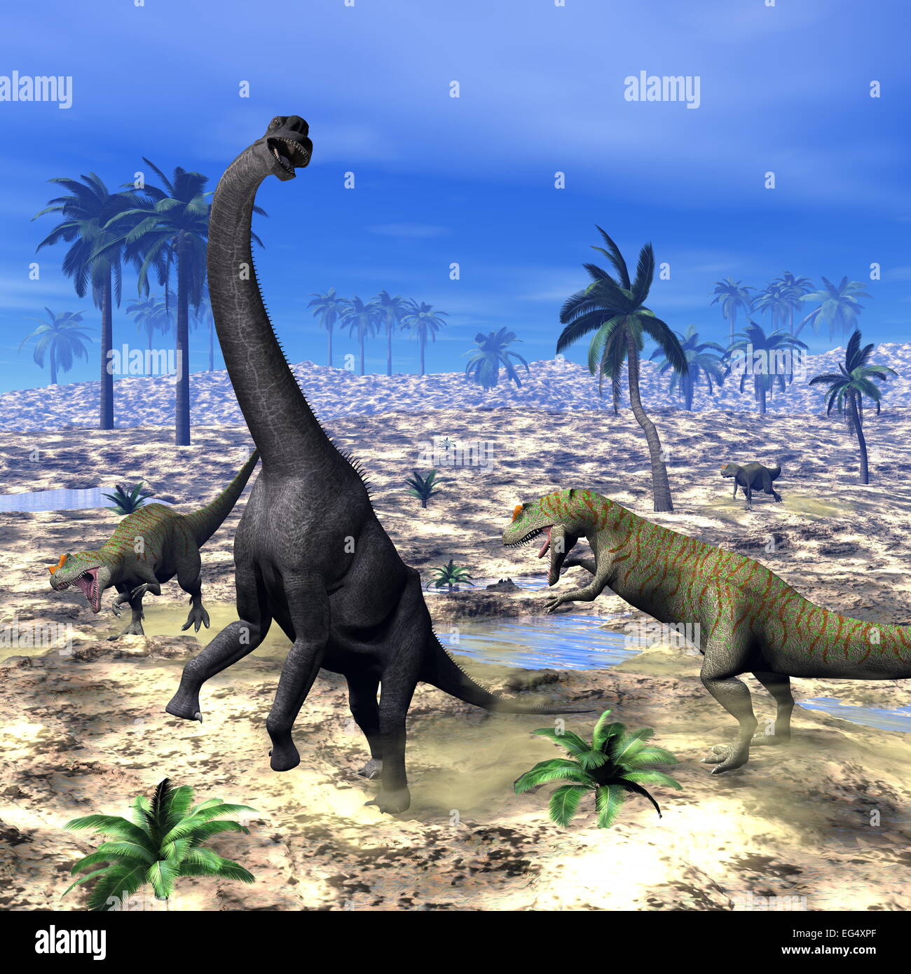 Allosaurus attacking brachiosaurus dinosaur in the desert - 3D render Stock Photo