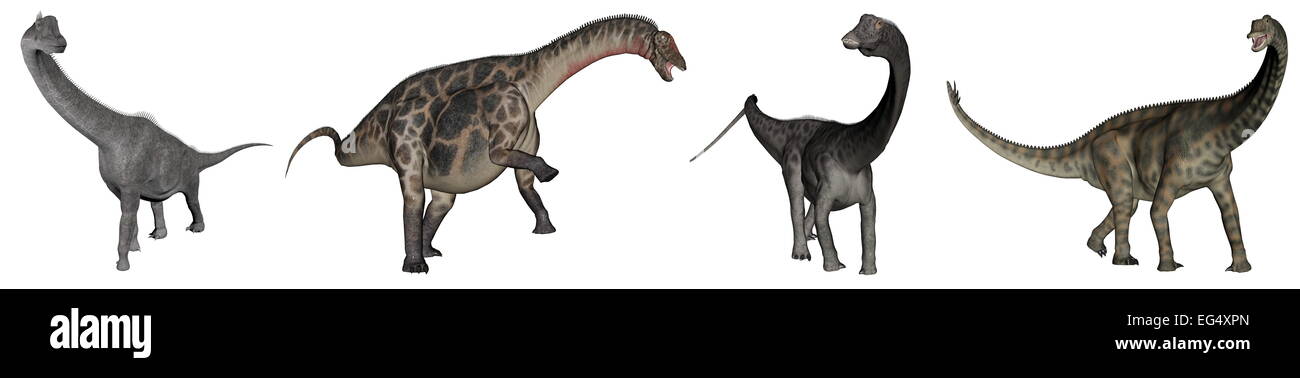 Jurassic sauropod dinosaurs : brachiosaurus, dicraeosaurus, diplodocus and spinophorosaurus - 3D render Stock Photo