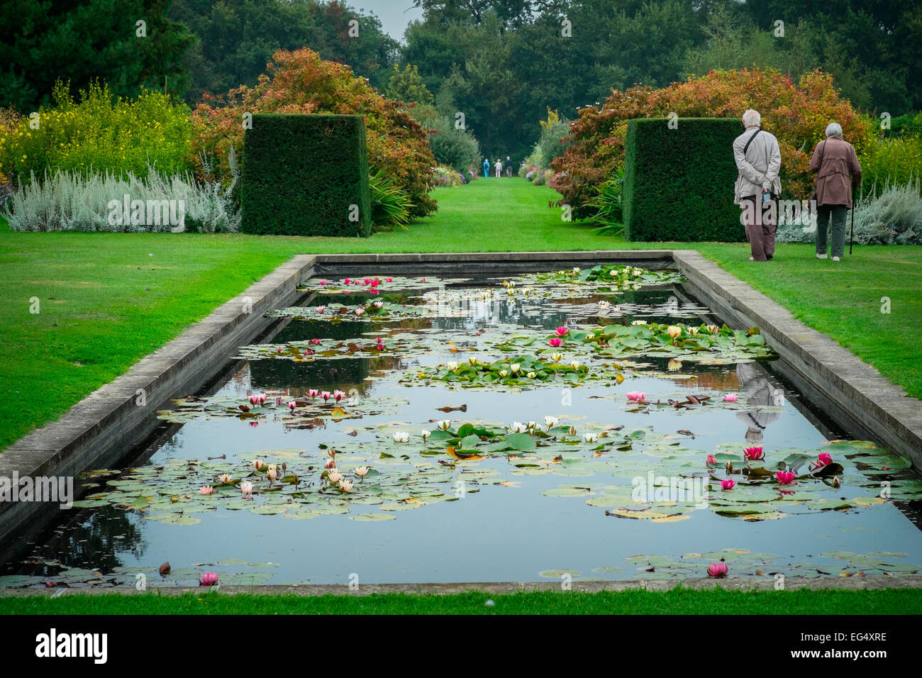 Lily pads pond flowers hires stock photography and images Alamy