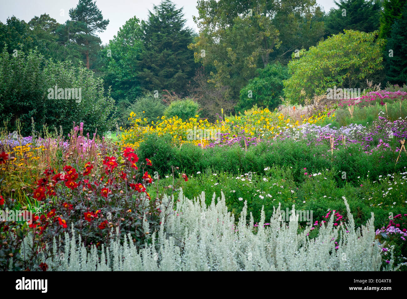 Colourful herbaceous border hi-res stock photography and images - Alamy