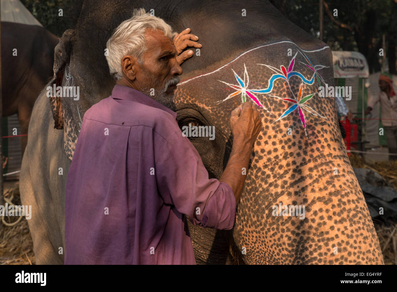 Mahout Decorating Elephant, Sonepur Mela Stock Photo - Alamy