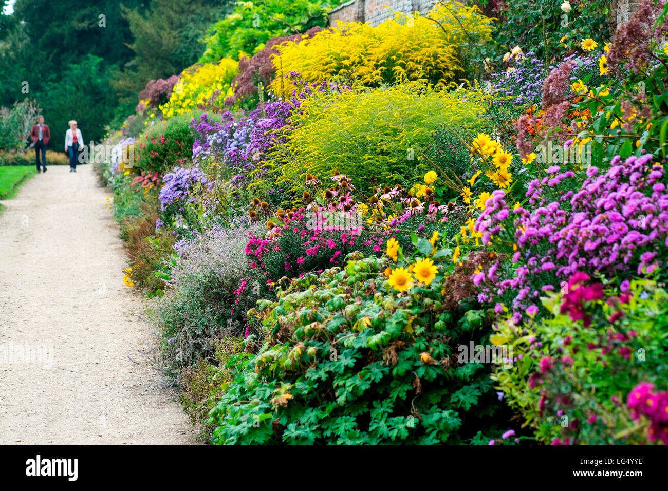 Herbaceous border path hi-res stock photography and images - Alamy