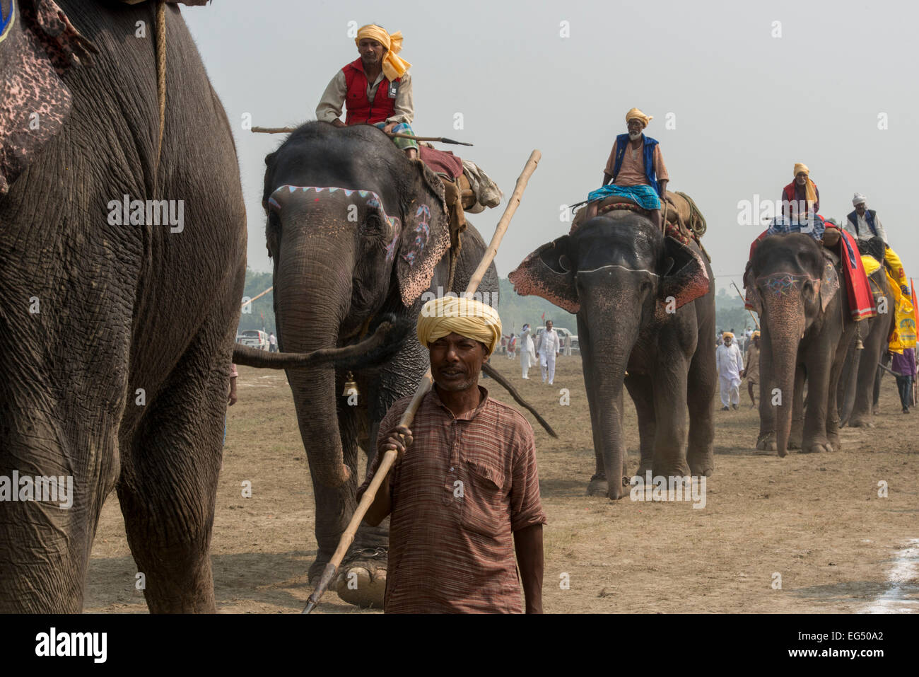 Elephants' Parade, Sonepur Mela Stock Photo