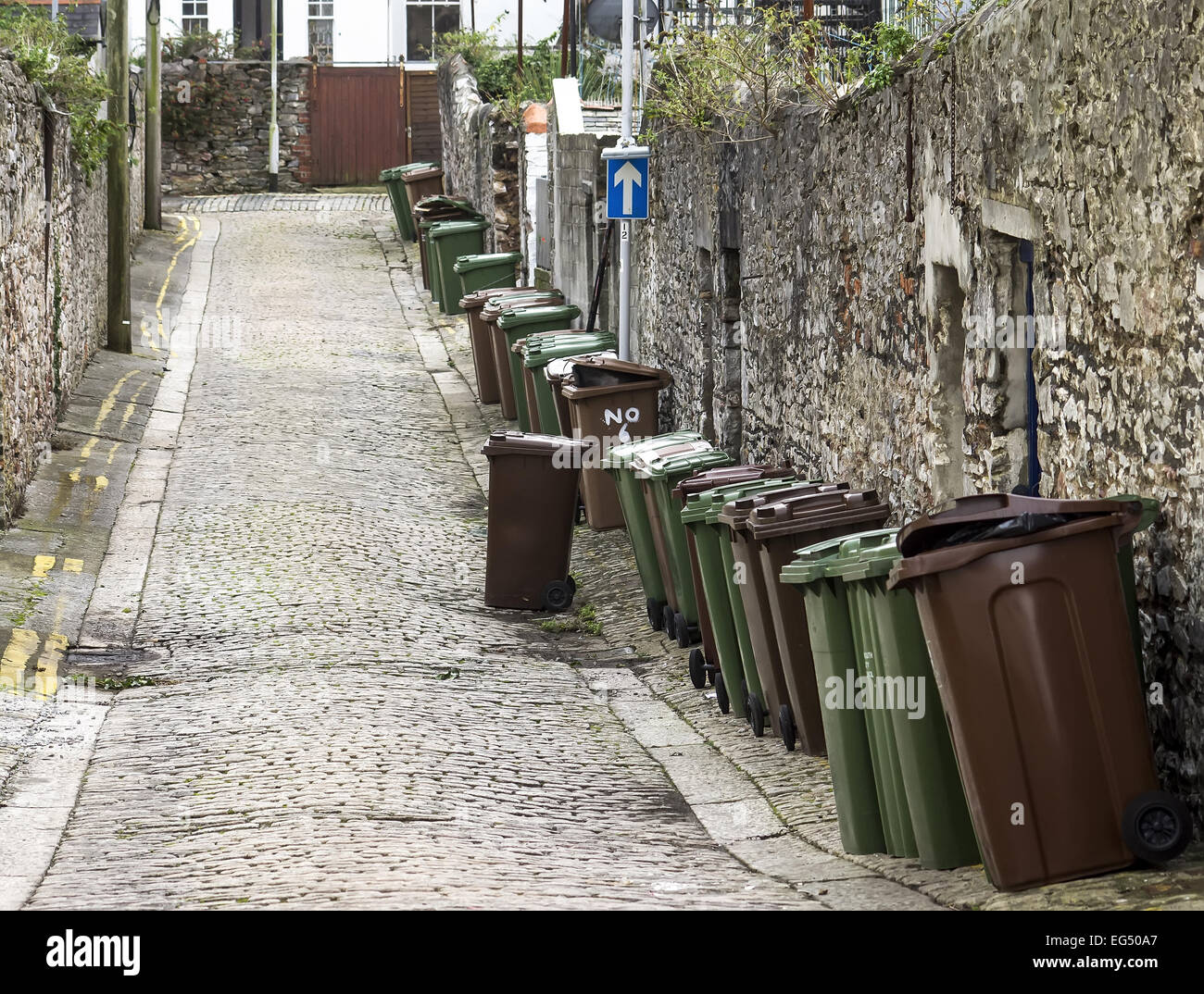 recycling,bins,city,town,street,back yard,uk,england,low class,Garbage Bin,Cityscape,Residential