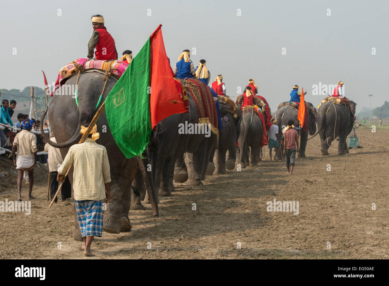 Elephants' Parade, Sonepur Mela Stock Photo