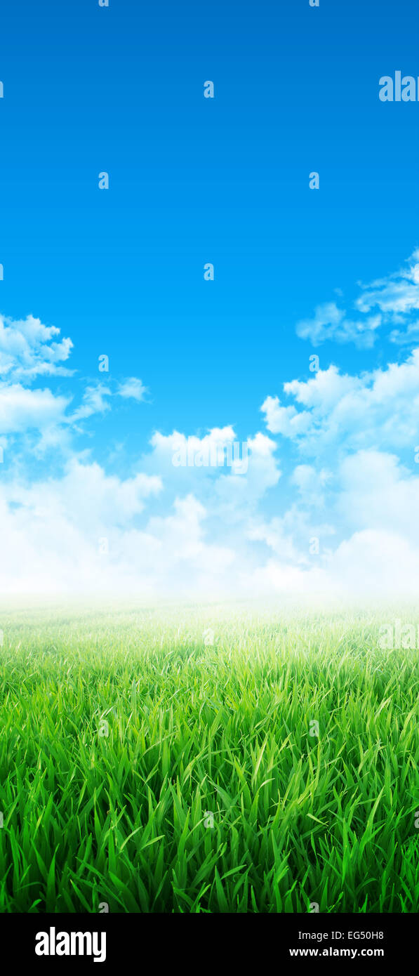 Abstract background of a grass field slowly growing under the blue sky Stock Photo