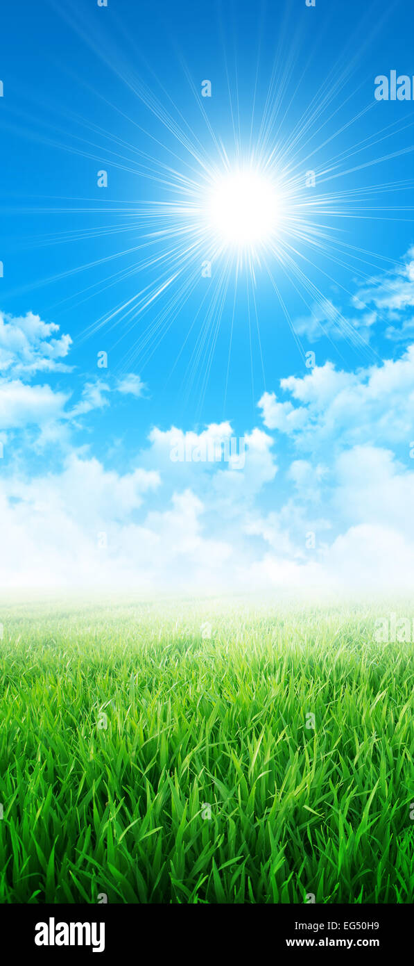 Abstract background of a grass field slowly growing under the sunlight Stock Photo