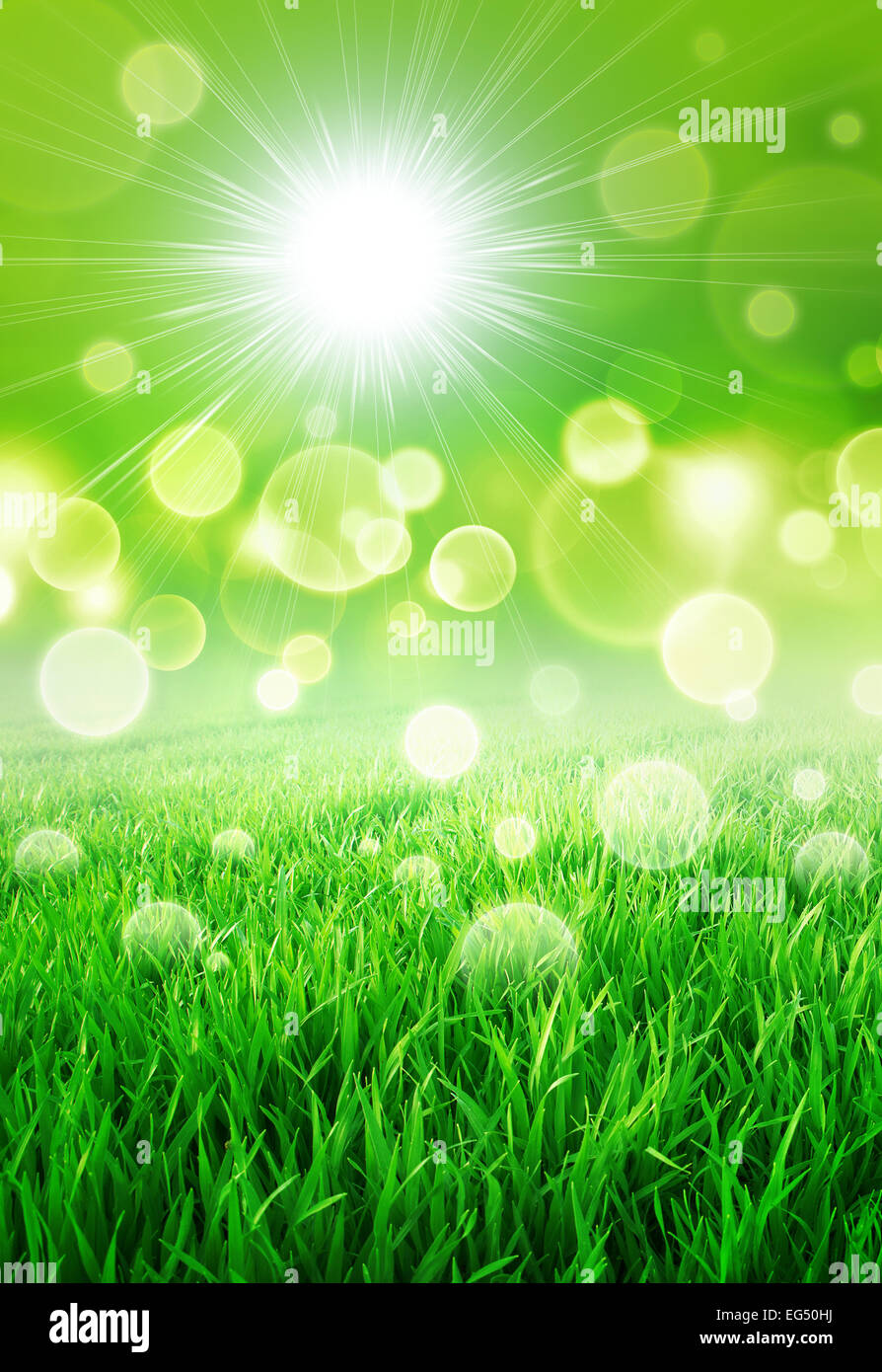 Green sensation. Abstract background of a grass field slowly growing Stock Photo