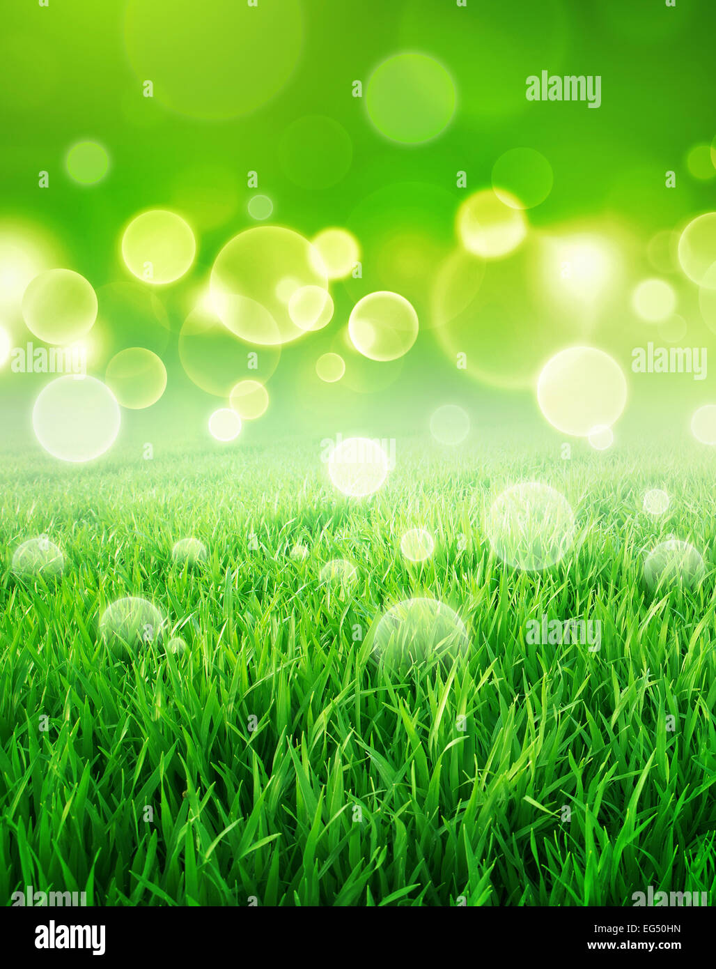 Green sensation. Abstract background of a grass field slowly growing Stock Photo