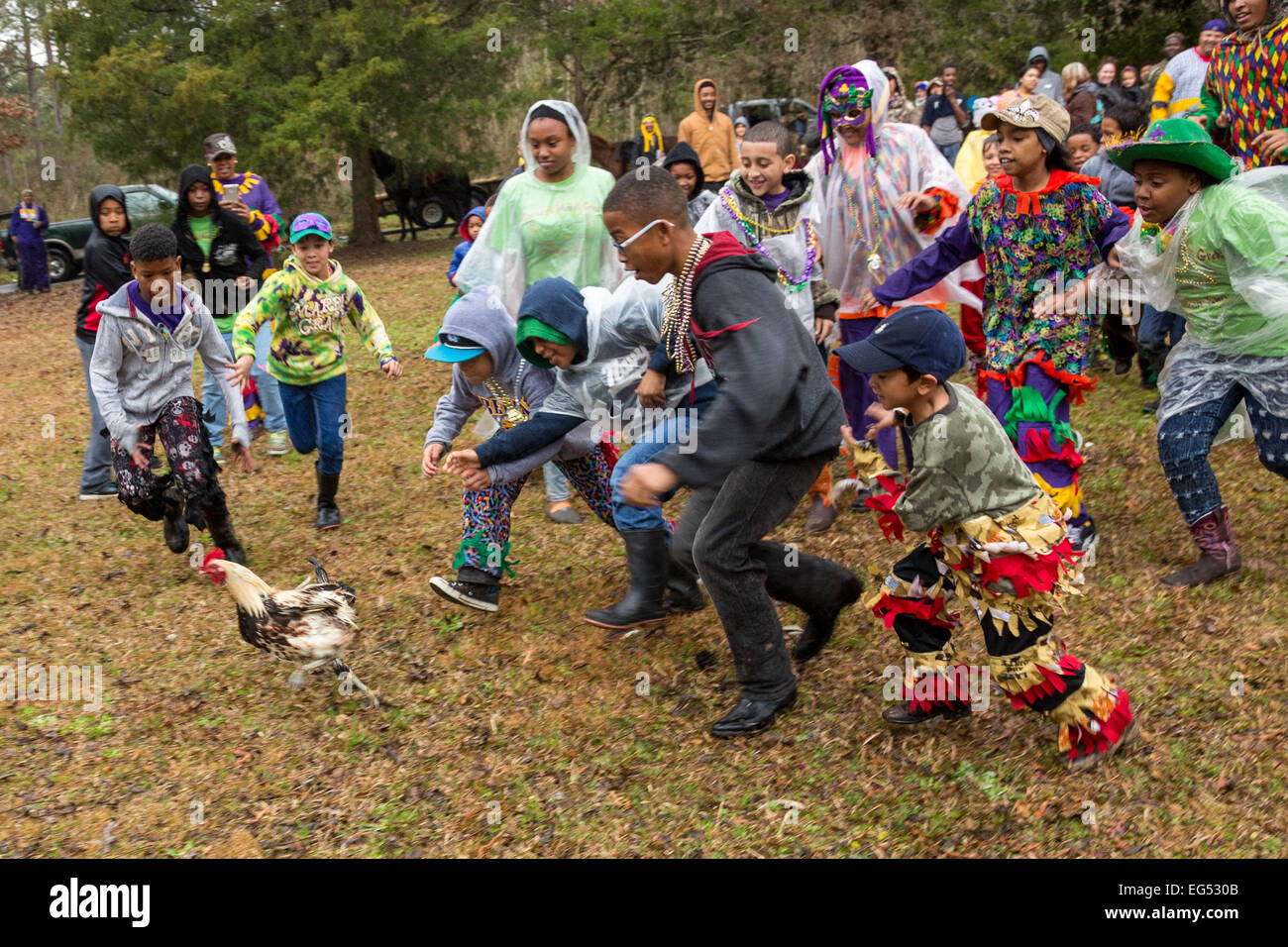louisiana mardi gras chicken run