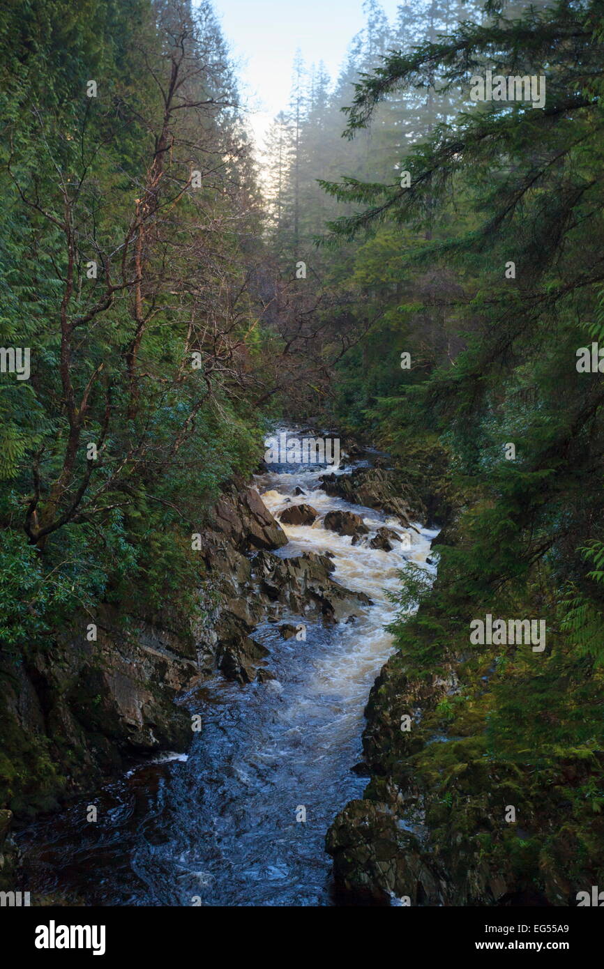 The river Mawddach (Afon Mawddach) as it cuts its way through Coed Y