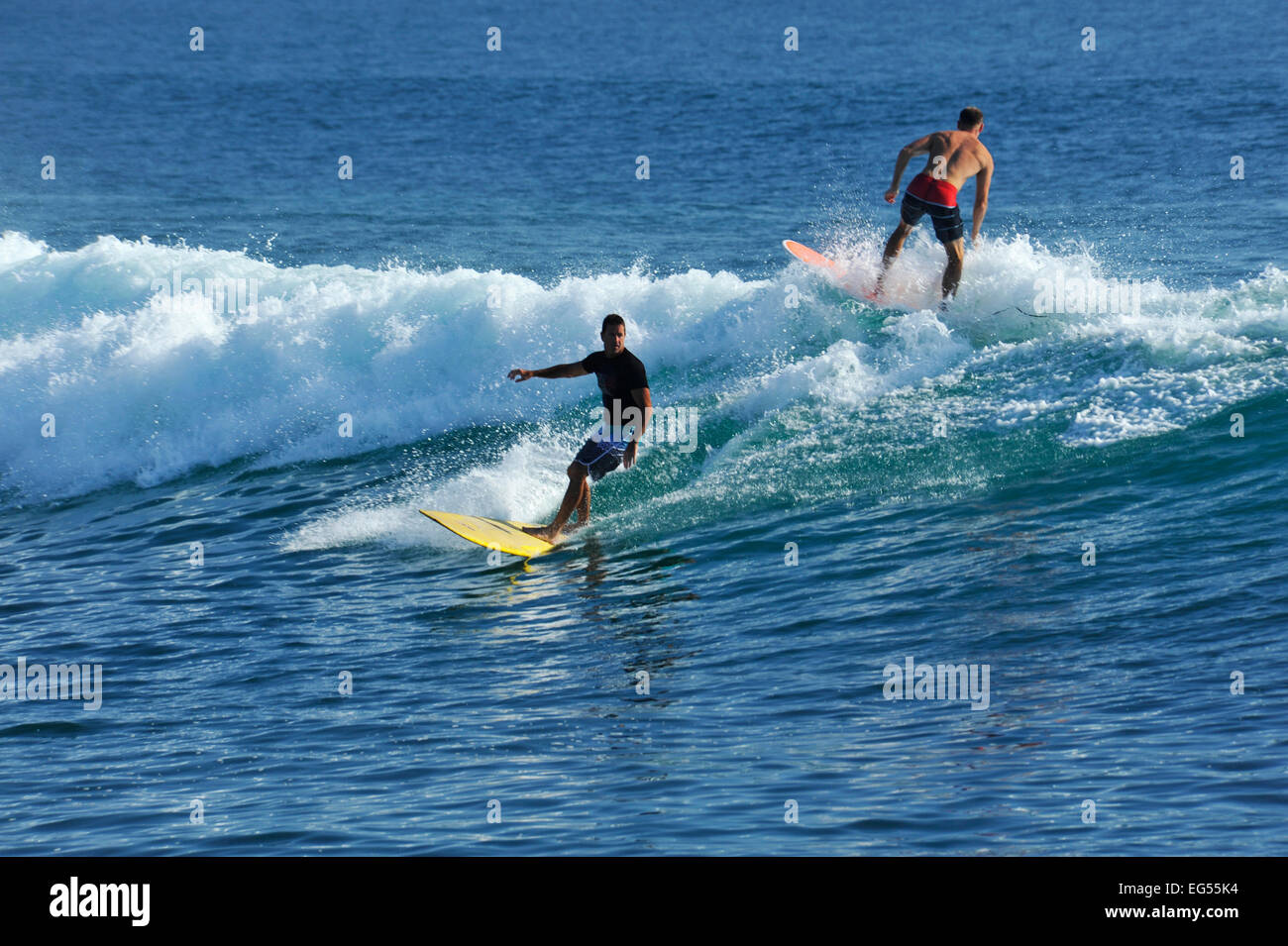 Two adult male surfers riding wave during excellent weather conditions in bay of Durban, KwaZulu-Natal, South Africa Stock Photo