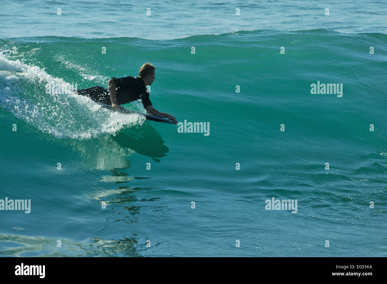 Single adult man in wetsuit on Boogie board riding down perfect wave in bay of Durban, KwaZulu-Natal Stock Photo