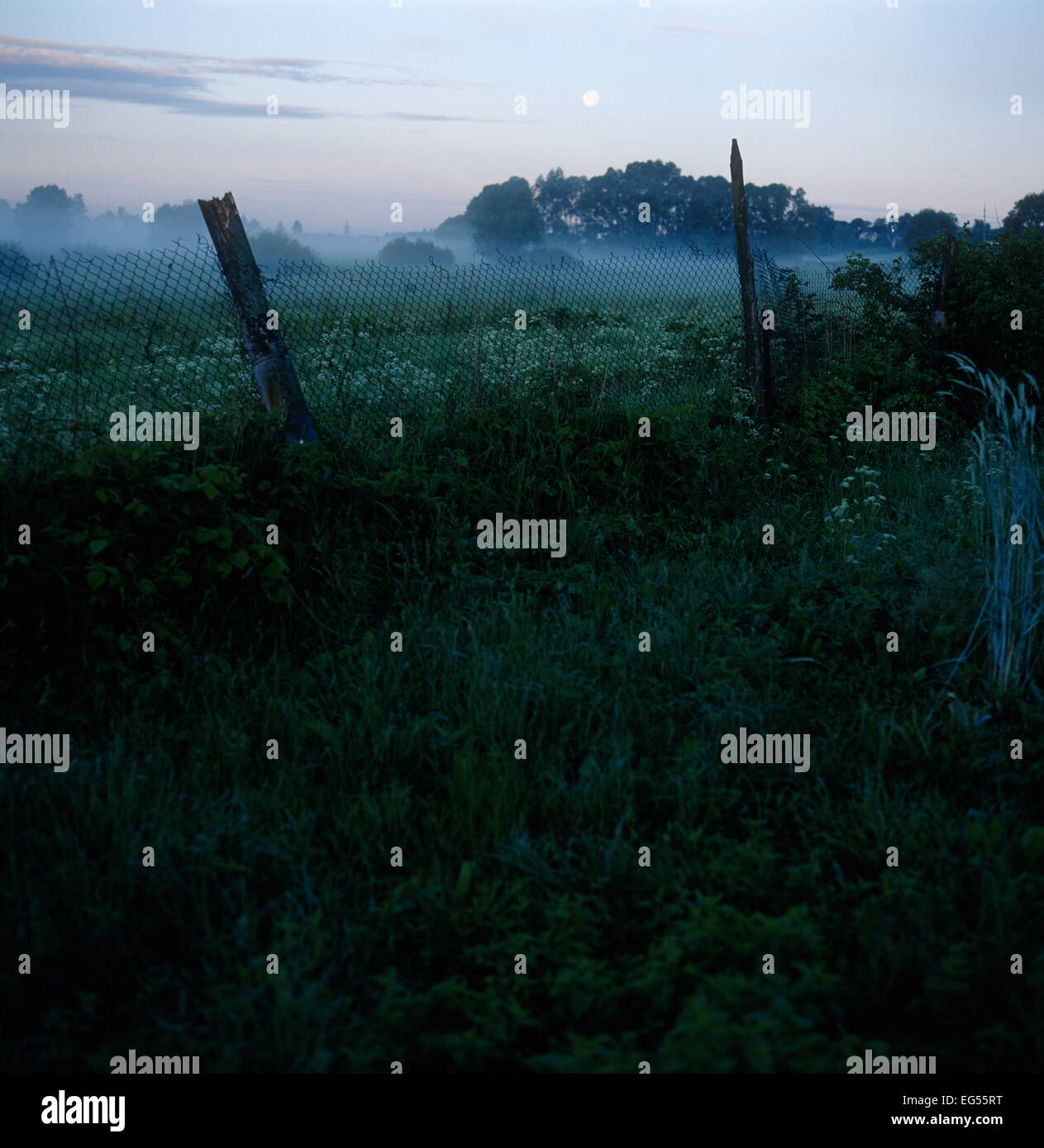 Field fog moon hi-res stock photography and images - Alamy