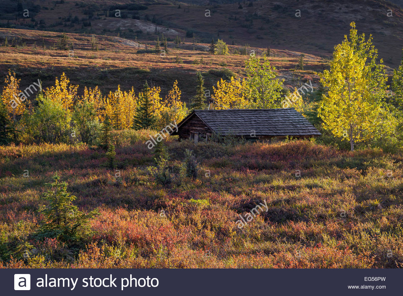 Denali National Park Alaska Cabin In The Tundra At The North
