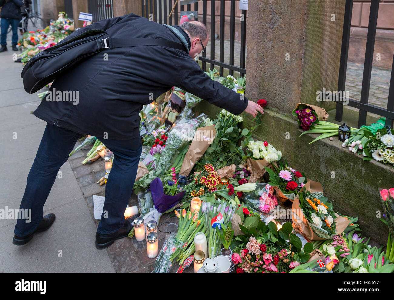 A man laying flowers to commemorate for a man killed at Copenhagen's main synagogue during the terrorist attack on 15 February 2015, Denmark Stock Photo