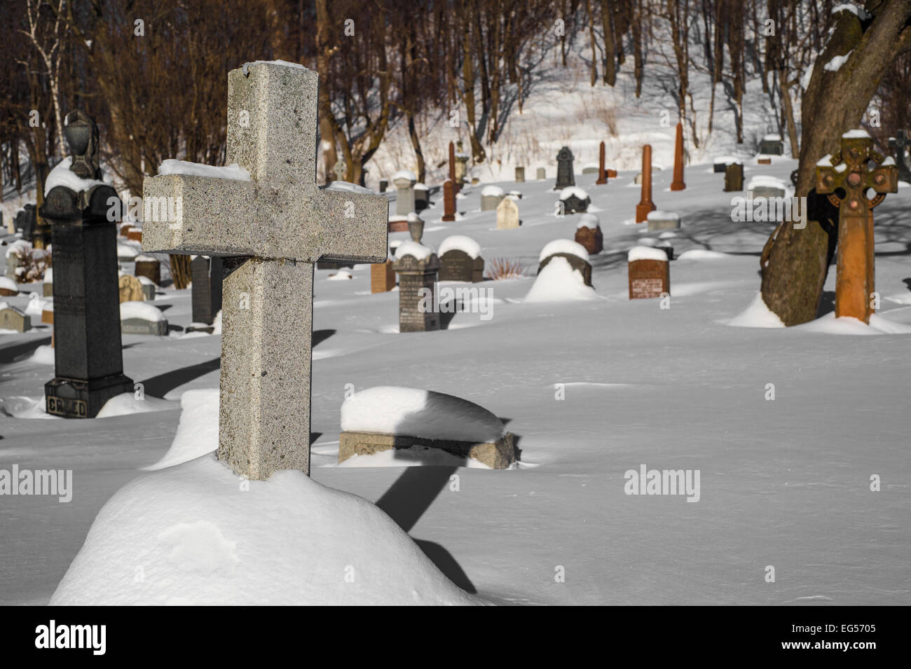 Tombstones covered by snow in an American cemetery with a cross in the foreground Stock Photo