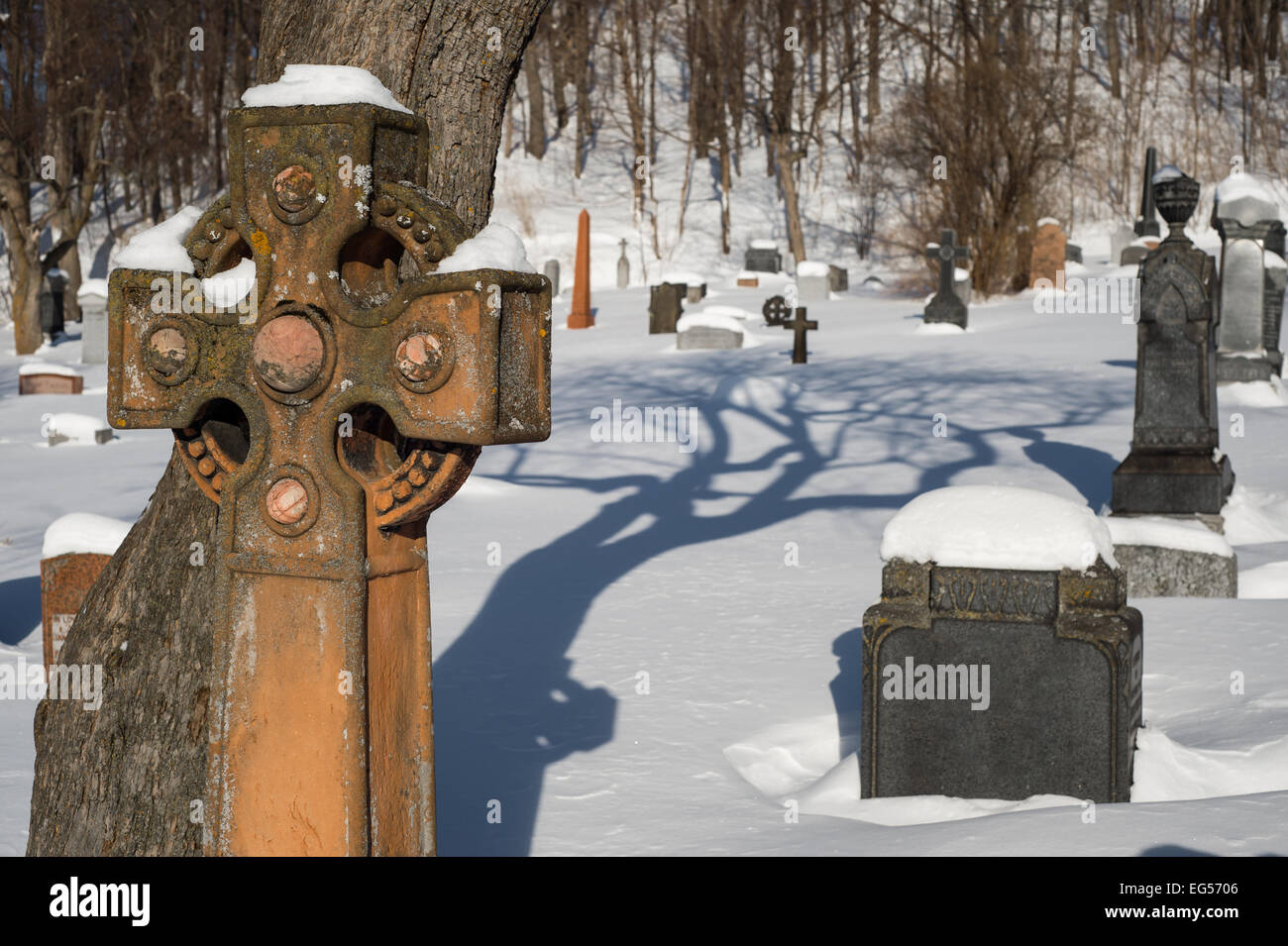Tombstones covered by snow in an American cemetery with a cross in the foreground Stock Photo