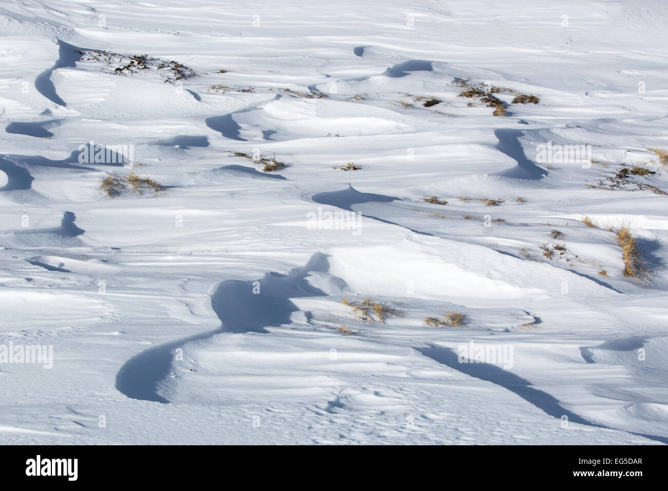 Closeup of the structures of snowdrifts in sunlight Stock Photo
