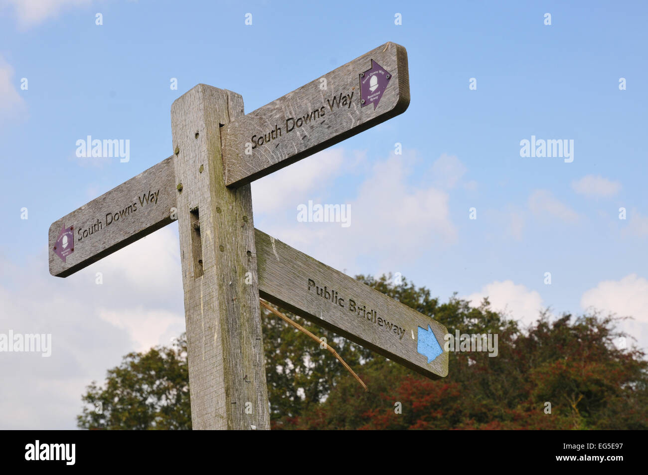 sign post, south downs way Stock Photo - Alamy