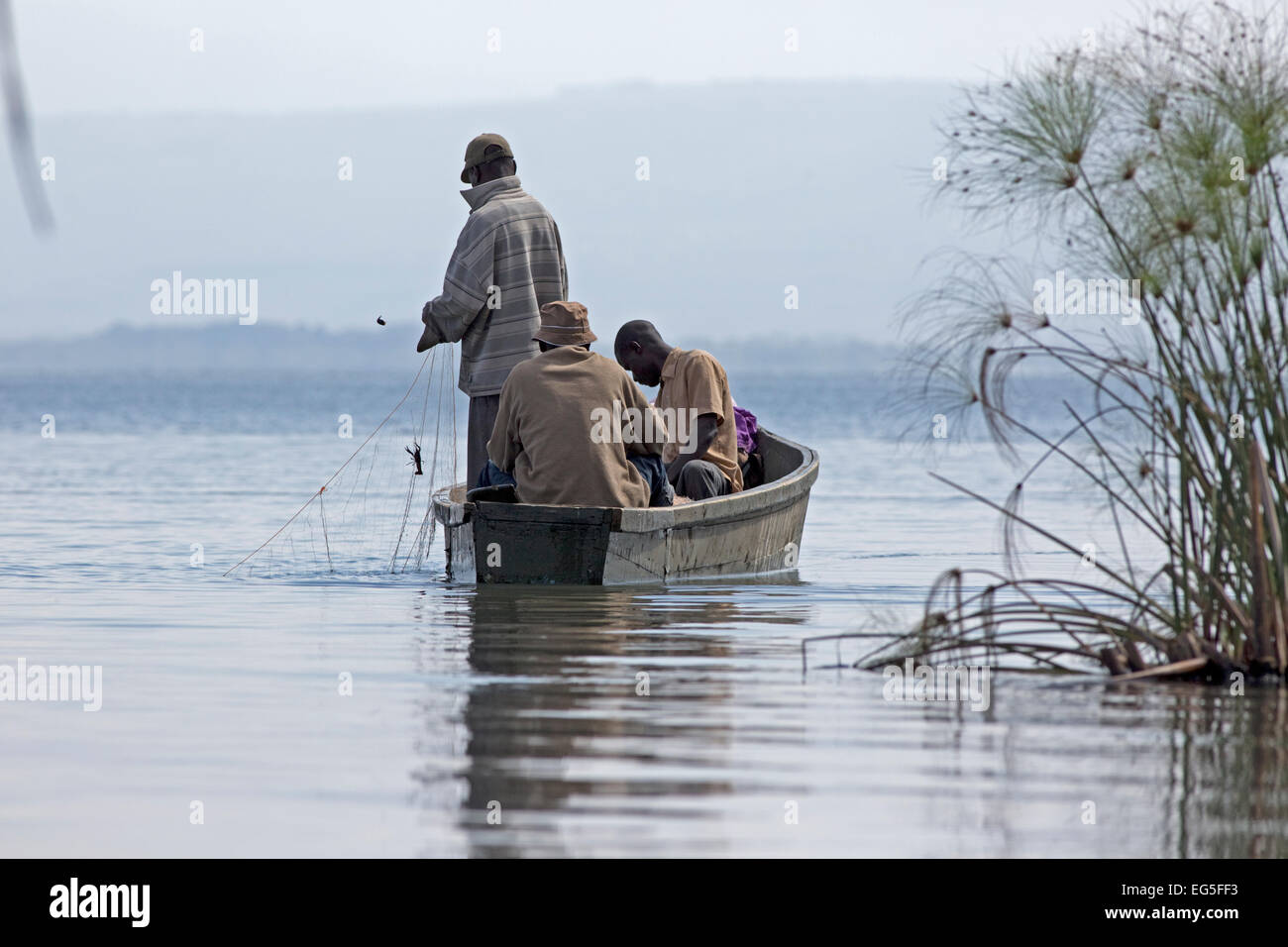 Local fishermen in small boat netting crayfish Lake Naivasha Kenya ...