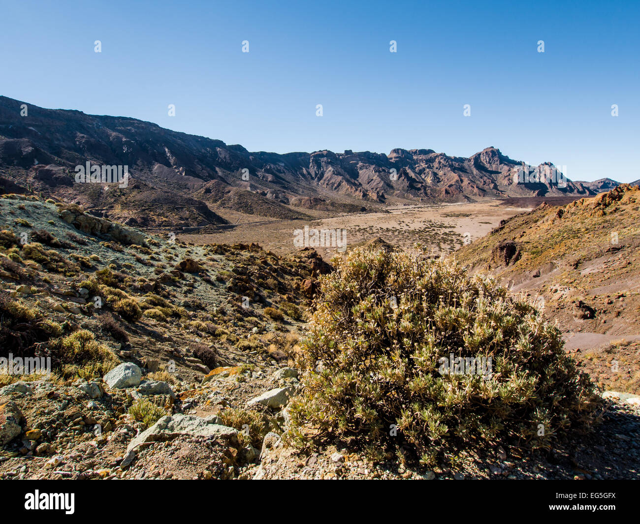 Desert landscape of Volcano Teide National Park Stock Photo