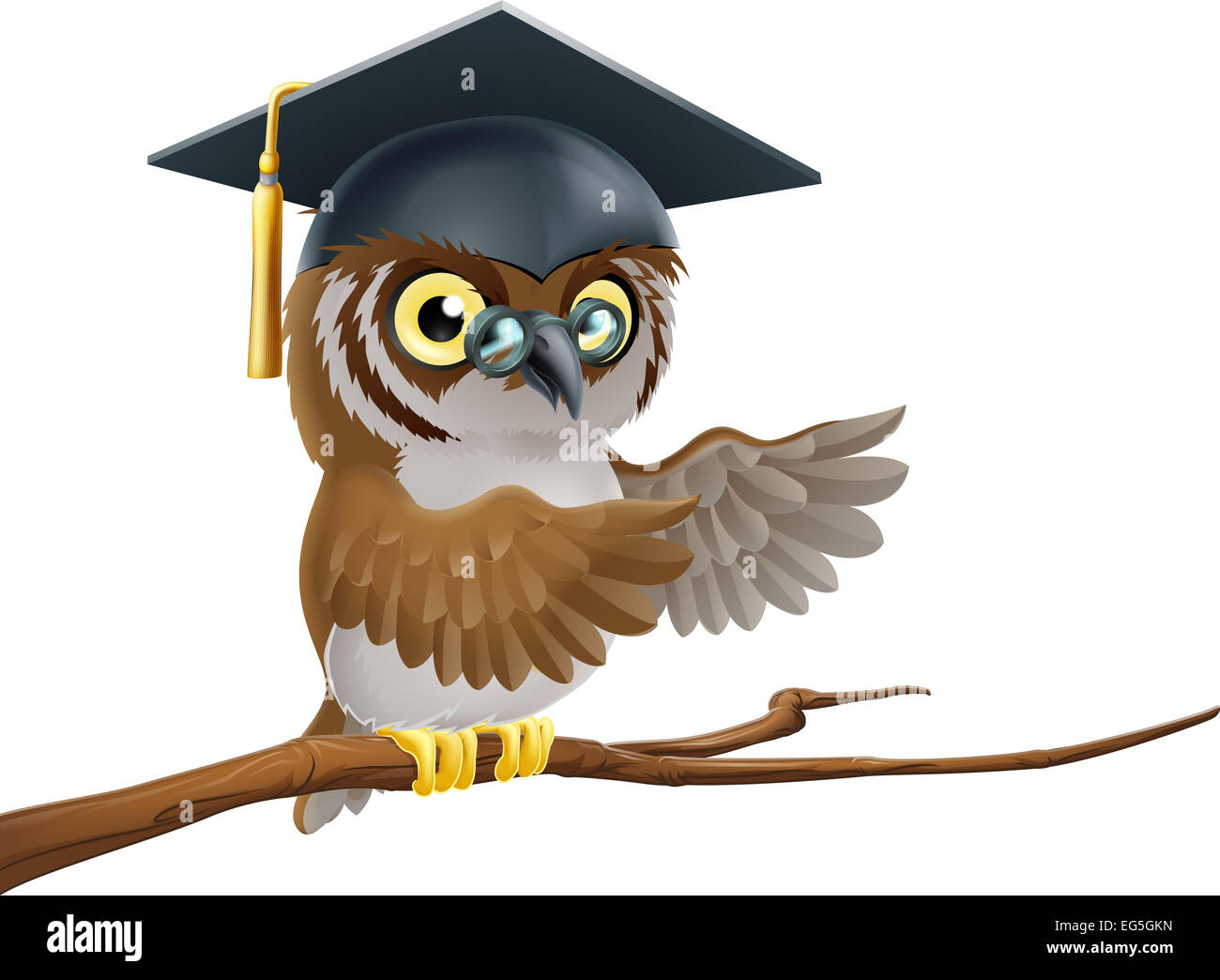 An illustration of a graduate or teacher owl in a mortar board graduate hat Stock Photo